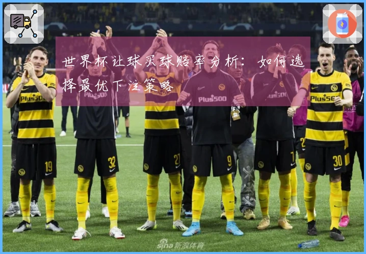 世界杯让球买球赔率分析：如何选择最优下注策略