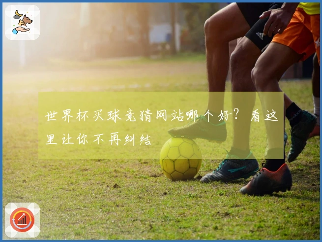 世界杯买球竞猜网站哪个好？看这里让你不再纠结
